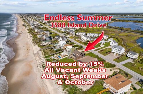 'Endless Summer