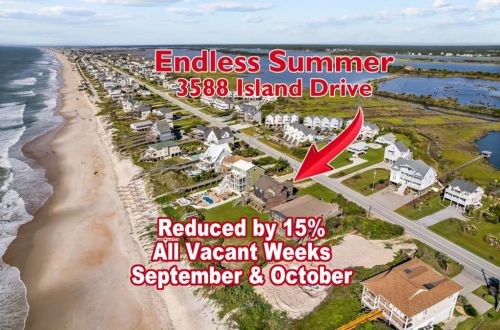 'Endless Summer