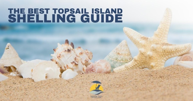 The Best Topsail Island Shelling Guide
