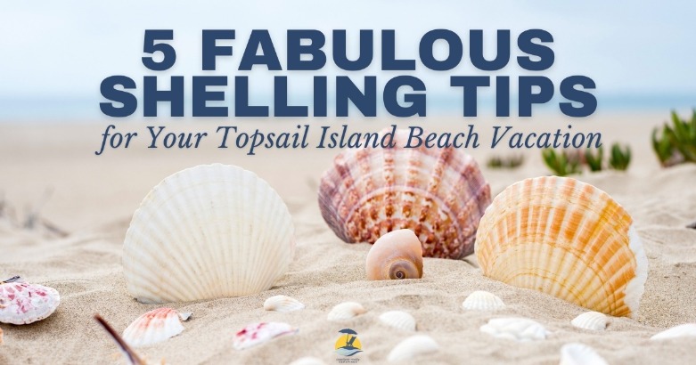 5 Fabulous Shelling Tips for Your Topsail Island Beach Vacation
