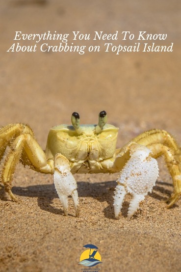 Everything You Need to Know About Crabbing on Topsail Island | Coastline Realty Vacations