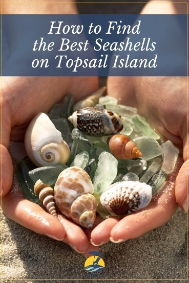 How to Find the Best Seashells on Topsail Island | Coastline Realty Vacations