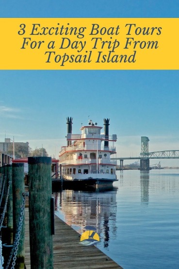 3 Exciting Boat Tours For a Day Trip From Topsail Island | CBC Realty