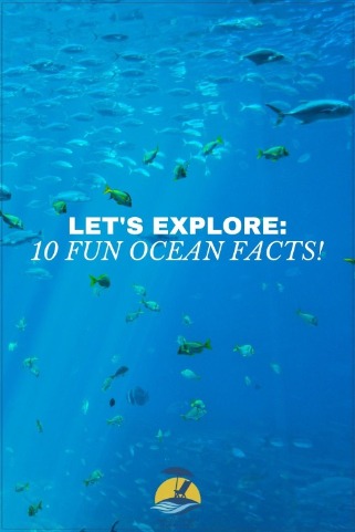 Let's Explore: 10 Fun Ocean Facts!