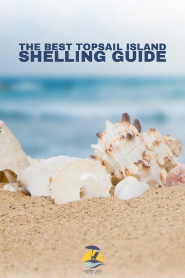 The Best Topsail Island Shelling Guide