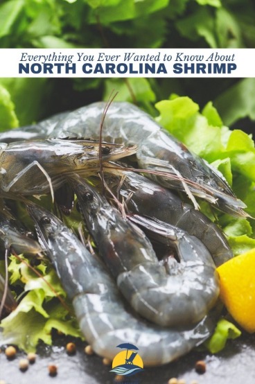 Everything You Ever Wanted to Know About North Carolina Shrimp