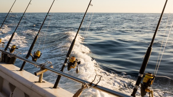 fishing poles on charter boat | Coastline Realty