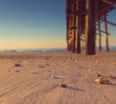 Seashells on the beach under the pier  | Coastline Realty Vacations Topsail Beach Rentals